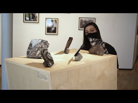 Interdisciplinary Art | Vibepedia