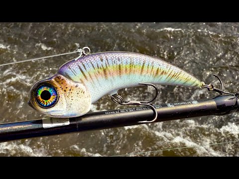 Making a ShakyHead Lipless CrankBait 