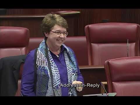 Hon Lynn MacLaren MLC - Valedictory Speech on 16 May 2017