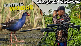 Download lagu BERHADIAH‼️BERBURU MANDAR BIRU DAN MANDAR BATU DI SPOT RAWA-RAWA mp3