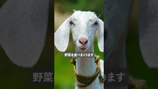 ダイエット・減量中に飲み会がある日の対策3選