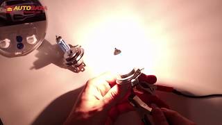 Philips WhiteVision ultra +60% H4 4200K 12342WVUSM 2 шт. - відео 2