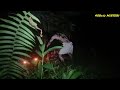 Ritual Pesugihan Dukun C4bul