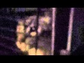Blu The Siamese Tabby Mix Meowing In Carrier At Night