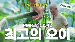 오이의 맛은 물론 상품성까지 다잡는 품종이 있다?! 구독자분들에게만 알려드립니다-! (춘향 오이)