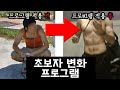 딱4주, 효과를 보장합니다 [초보자 홈트레이닝 맨몸운동 훈련 프로그램]