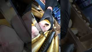 Download lagu Skumbriya kopchonny otborniy 180.000 kg.  991155555 mp3