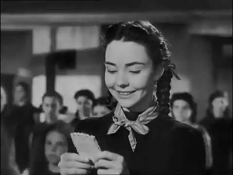 Das Lied von Bernadette 