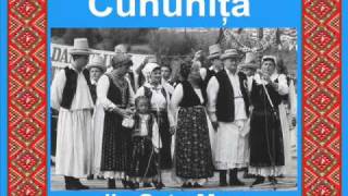 preview picture of video 'CUNUNIȚA din Satu Mare - Colaj de melodii.wmv'
