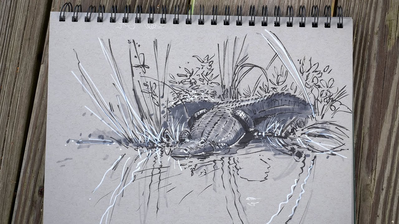 Sketching in the Wild with Aaron Blaise