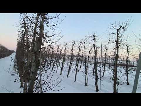 4 komunikat sadowniczy z dnia 19.01.2026