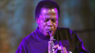 Depois do Amor o Vazio