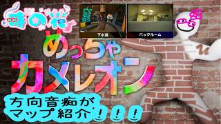 【めっちゃカメレオン】マップ紹介！下水道＆バックルーム【時の花】