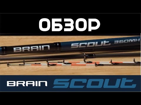 Обзор фидерного удилища Brain Scout