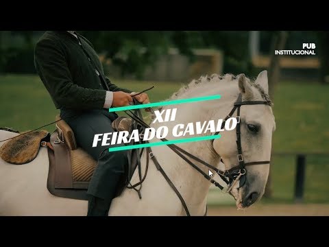 Visite a XII Feira do Cavalo de Ponte de Lima