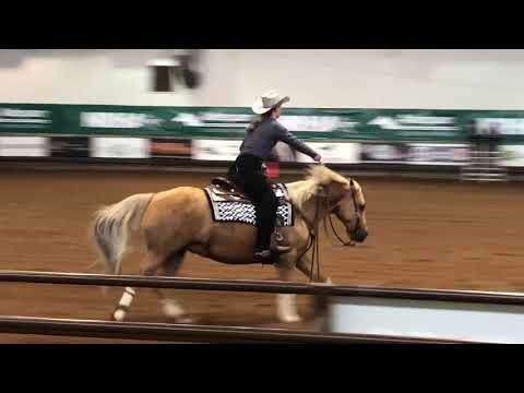 2018 NRHA DERBY SCHOOLING RUN