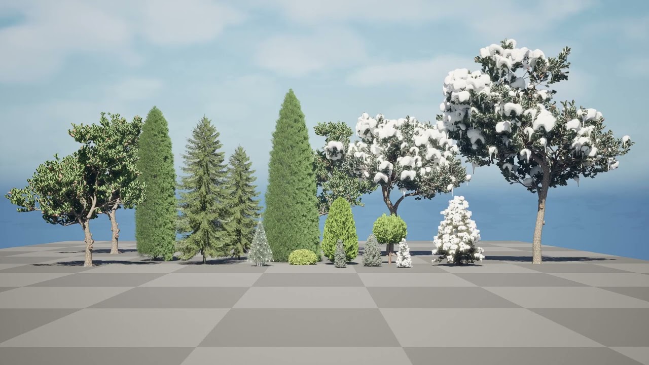 Conifer 3D Pack High-Quality 3D Model