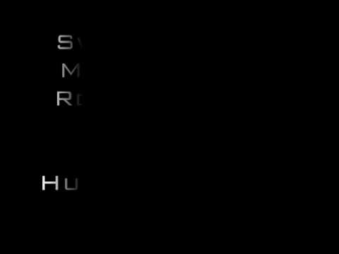 Swedish House Mafia Vs Nicky Romero & Zedd Ft LIZ - Greyhound Human (Overmind Mashup)