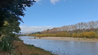 A Walking Tour Along The Manawatu River Pathway In Palmerston North New Zealand