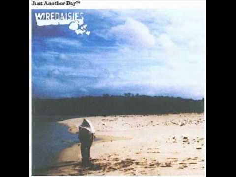 Wire Daisies - Butterfly