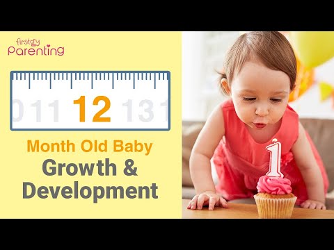 Your 12 month old baby -growth, development, activities & care tips