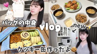 【日常vlog】カバンの中身🫣new食器棚🆕クッキー缶作ったら楽しすぎた🍪最近ハマってるご飯と購入品💄