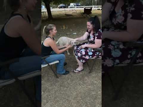 Rock paper slap 😂😂￼