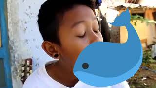 Download lagu status wa lucu 30 detik mp3