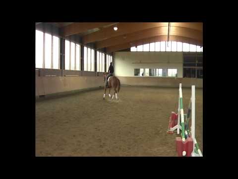 Desperdos 2013 12 07 14 50 43