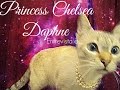 Princess Chelsea Daphne entrevista a Leah de ...