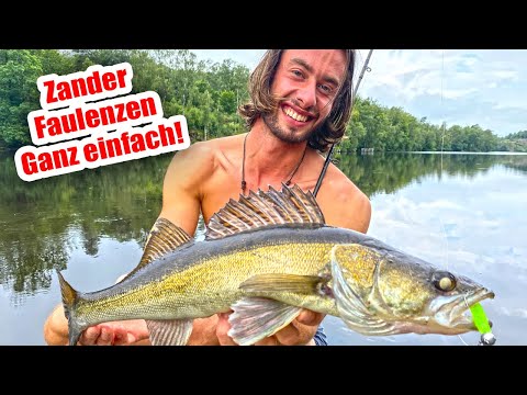 Lazy Method Zander - Step by Step Zander Lazy