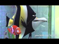 Finding Nemo 3D Gil And Nemo