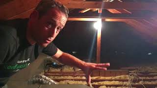 How to Get Rid of Rodents In The Attic