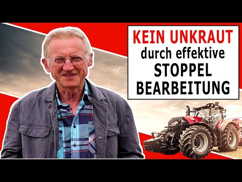 Stoppelsturz - Erfolgreiche Unkrautbekämpfung auf dem Bio-Acker durch richtige Stoppelbearbeitung!