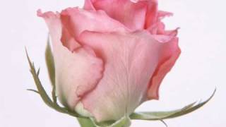 Jashnn - Nazrein Karam ( Full Song ) - YouTube
