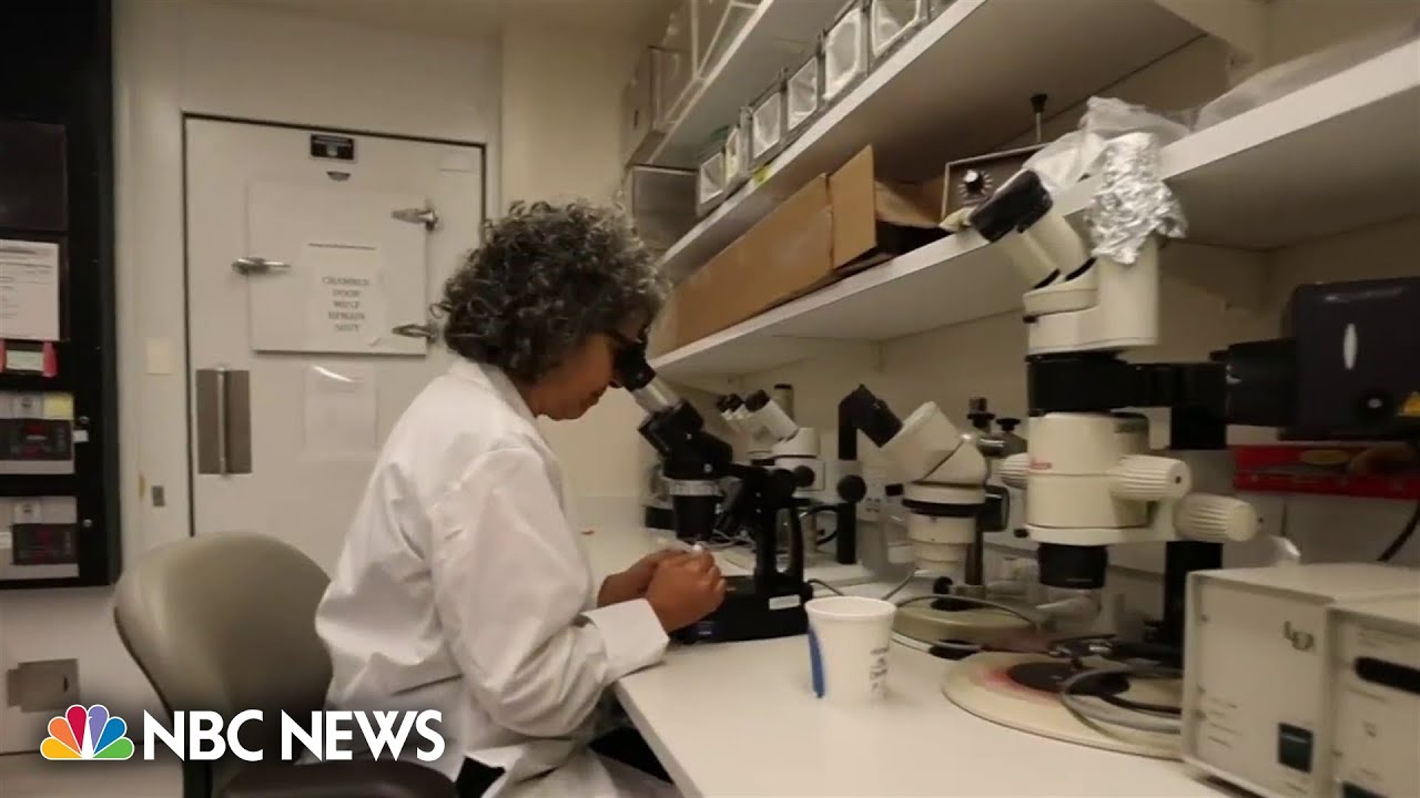 Inside a malaria research center after 9 cases identified in the U.S.