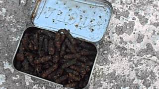 Какая рыба клюет на ручейник