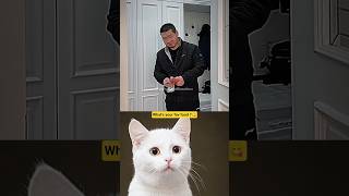 Download lagu Bro's shocked 😂💀#trending #shorts #viral #funny #youtubeshorts mp3
