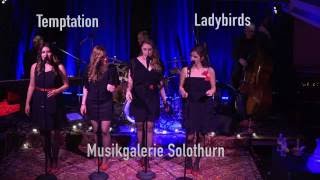 Temptation Ladybirds Musikgalerie Solothurn