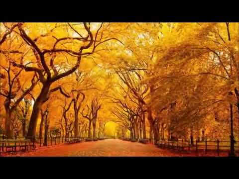 Autumn in New York Locatelli Bruno Sax Alto