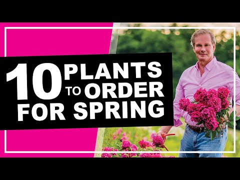 10 Perennials to Order and Plant Now! | SPRING 2020: P. Allen Smith