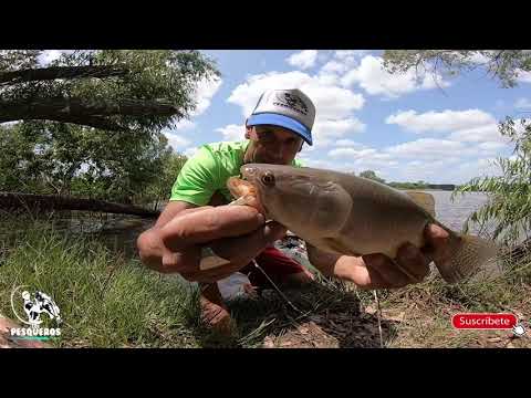 PESCA DE TARARIRAS EN REPRESA DE CANELÓN GRANDE KM. 53,300,  PESCA Y NATURALEZA EN FAMILIA.