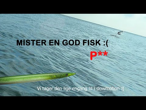 Havørred tur d