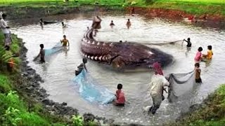 10 Biggest Fish Catches In The World