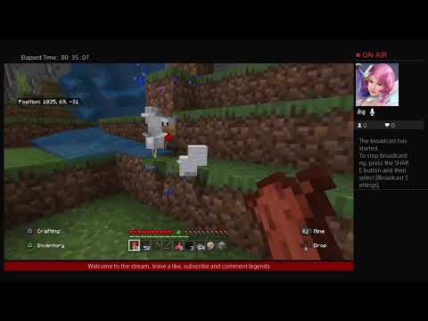 Just a chill minecraft stream pt 1