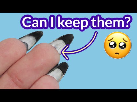 Growing Out Nails UNDER Extensions – Will it Work? 🤨 Glitter Gel Polish Overlay on Myself