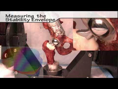 Cleveland Clinic BioRobotics Lab - Hip Musculoskeletal Simulator