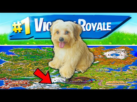 My Puppy CONTROLS My Game in Fortnite!