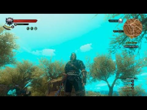 The Witcher 3: Battle with a Bruxa (a higher vampire)