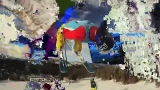 Flip Bat - Mr Oizo - Plastic art work